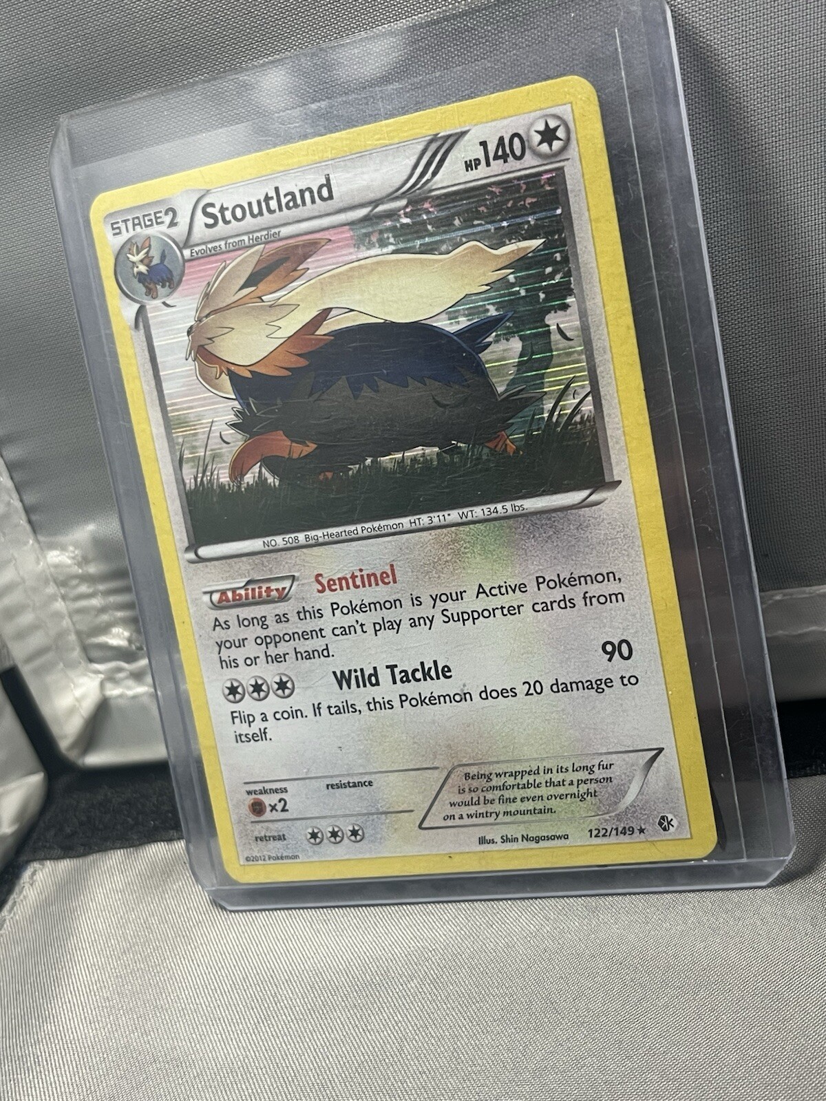 π§π΅ Stoutland 122/149 Boundaries Crossed Holo Pokemon Card π΅π§