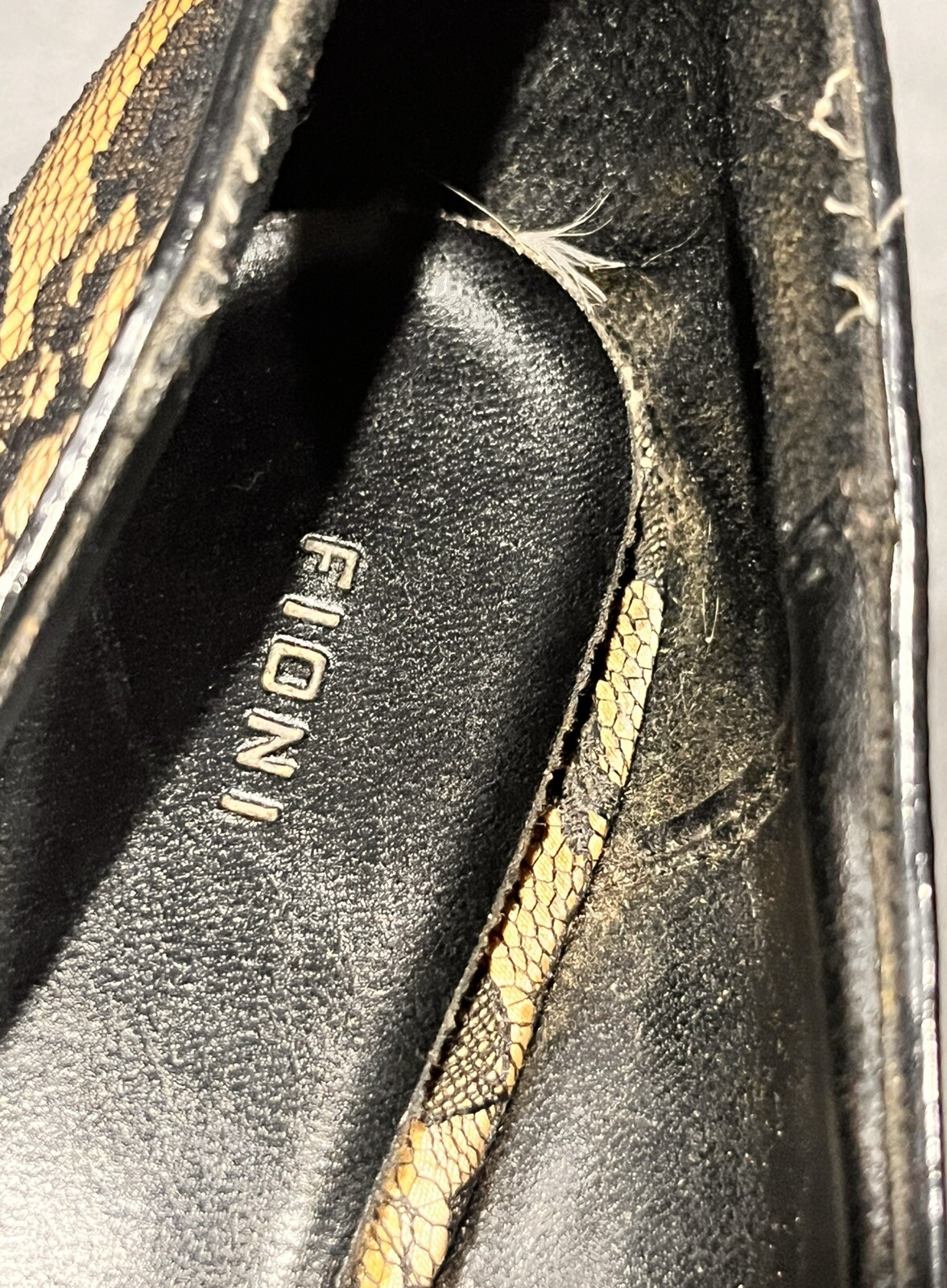 Picture 5 of 19