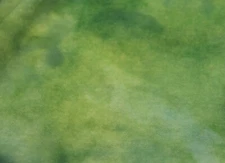 Benedict Green Spot HAND DYED RUG HOOKING WOOL fat 1/8 yard   Spotted Cur