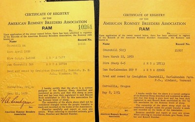 TWO 1951 American Romney Sheep Breeders Assoc. Certificates of Registry- E19-E