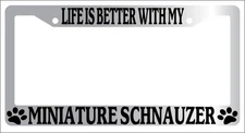 Chrome License Plate Frame Life Is Better With My Miniature Schnauzer (Paws) 471