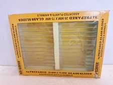 Edu Science 24Prepared Glass Slides, Storage Tray One Slide Is Broke In The Pack