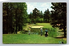Southern Pines NC Pine Needles Country Club Golf Course Hole 4 Vtg Postcard View