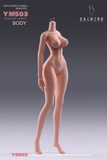 US 1/6 Female Suntan Skin Big Bust Anime Seamless Body Details 12''Action Figure