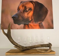 Schnapsglasst&auml;nder aus Hirsch Geweih Geschenkidee Schnaps Alkohol Grappast&auml;nder