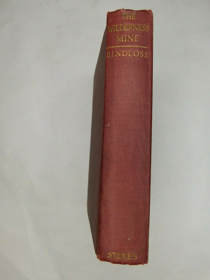 The Wilderness Mine By Harold Bindloss 1920 HC “Staywards Vindication