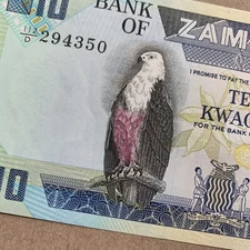 Eagle NOTE Zambia 10 Kwacha Banknote World Paper Money UNC Currency Bill