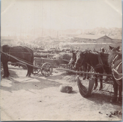 Tirage Ancien Vladivostok – Le Marché, Russie, Circa 1890, Original