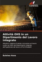 Attività Ohs In Un Dipartimento Del Lavoro Integrato Bulelwa Huna Taschenbuch