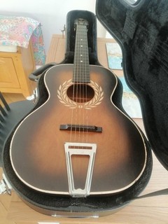 parlour acoustic guitar used