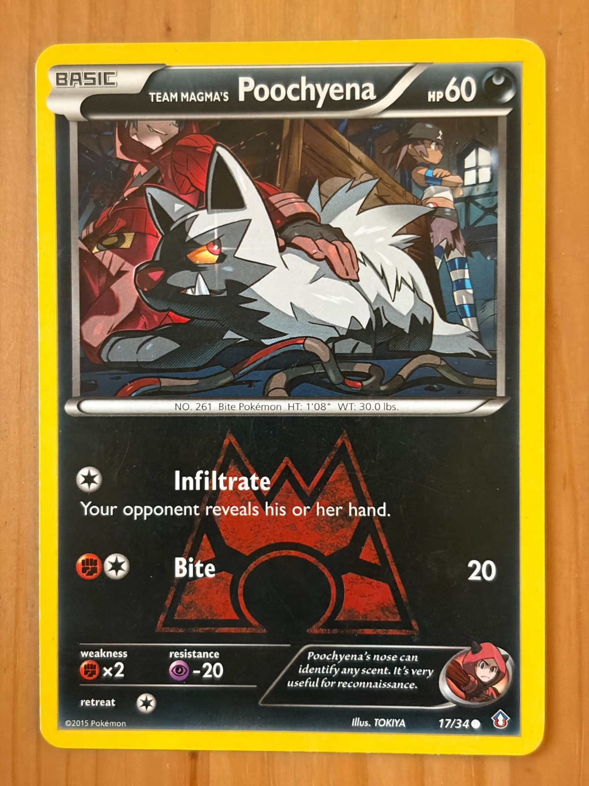 Team Magma's Poochyena 17/34 Regular Common LP - Double Crisis 2015 - Pokemon