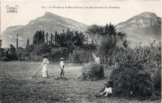 73 CPA ENVIRONS DE CHAMBERY LE NICOLET ET LE MONT PENNAY TRAVAUX DES CHAMPS