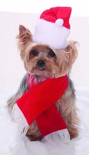 Santa Hat and Scarf Pet Dog Cat Christmas Costume Accessory