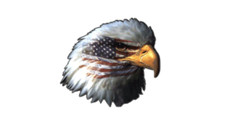 4" masked eagle with flag bumper sticker decal usa made