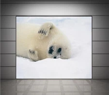 3D Polar Bear Baby K4223 Wallpaper Mural Self-adhesive Removable Sticker Panda