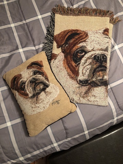 bulldog pillow