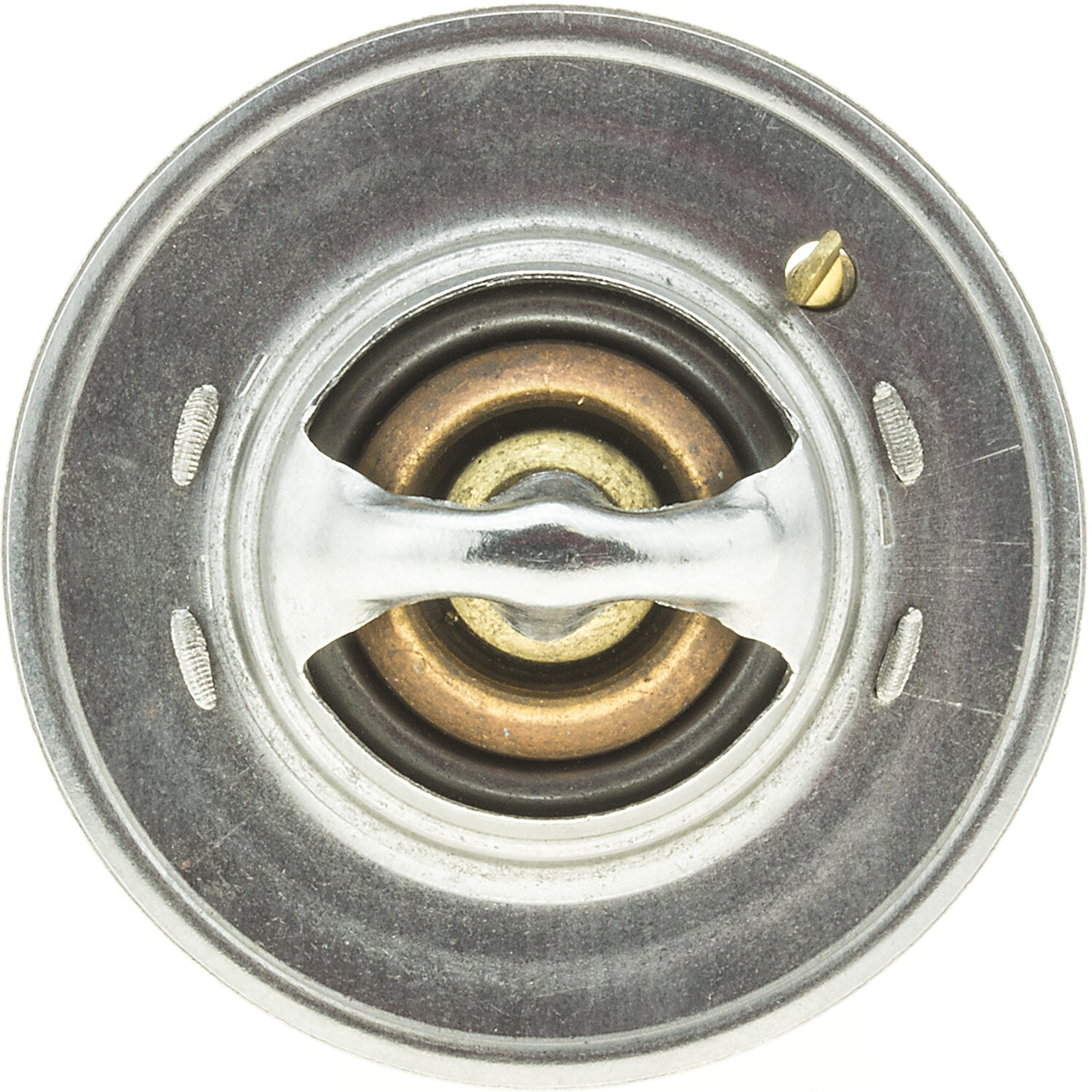 Picture 4 of 4