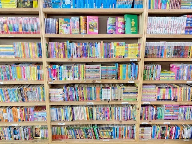 Lot of 30 kids young instant library chapter books bundle paperback - GOOD Foto 2 de 4