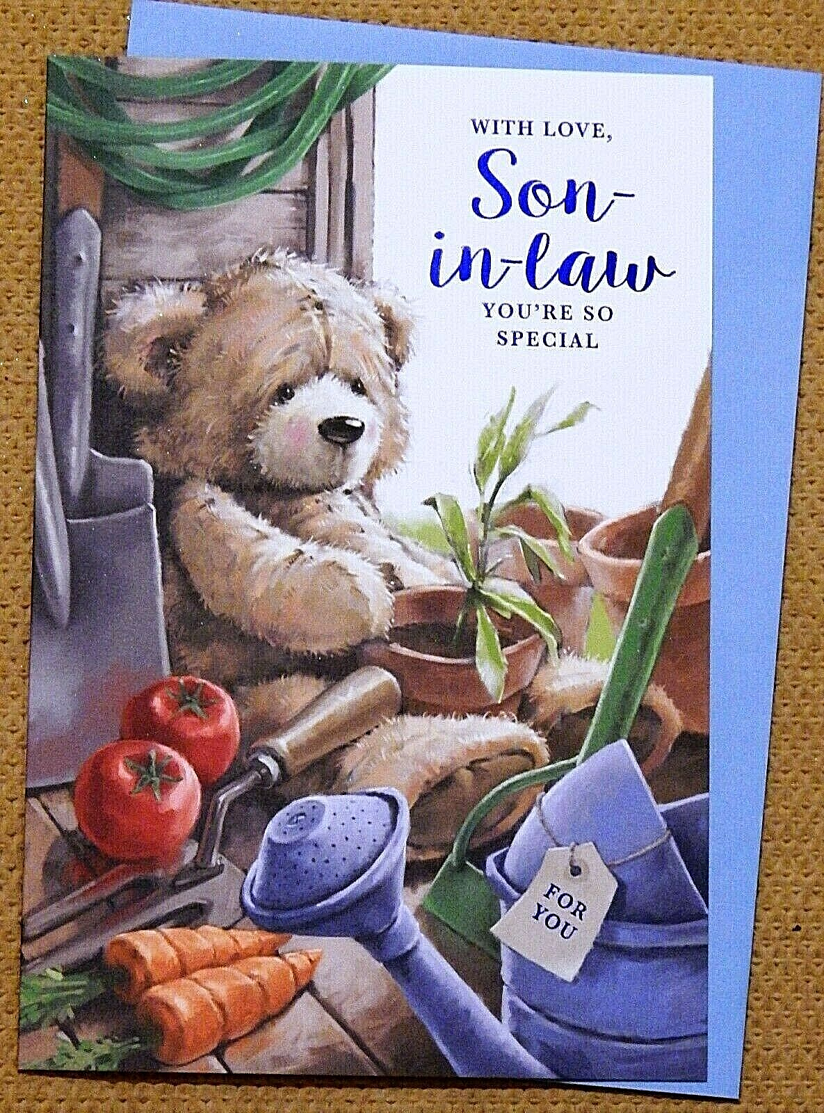 Son In Law Birthday Card, Shed Gardening Birthday Card Special Son-In-Law 9""x6""
