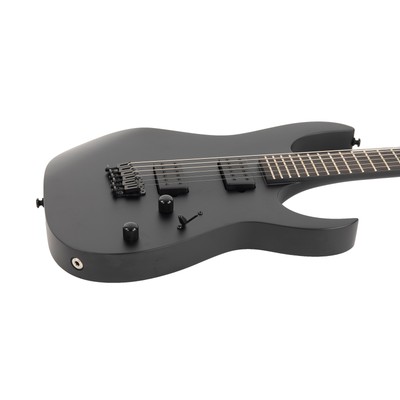 Ibanez RGRTBB21 Iron Label RG Baritone - Black Flat | eBay
