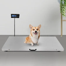 1100Lbs Hog Pet Dog Sheep Goat Scale Heavy Duty Digital Livestock Vet Scale