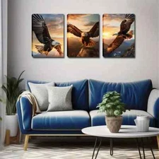 3pcs An Eagle Soaring In The Sky Wall Art Canvas Framed 50x70cm
