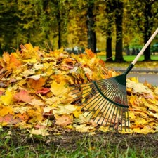 18 Tines / 42 cm Traditional Steel Fan Rake with 115 cm Long Handle Gardening