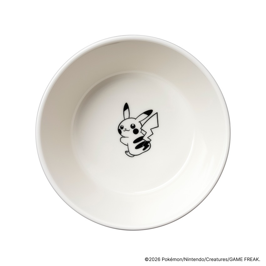 Iittala x Pokémon Oligo Bowl, mug, plates | eBay