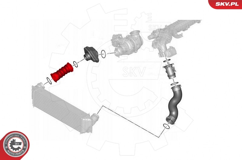Für SKV GERMANY 43SKV370 BMW 5 (F10, F07, F11) 7 (F01, F02, F03, F04) , 1161851