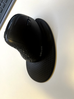 delux ergonomics maus