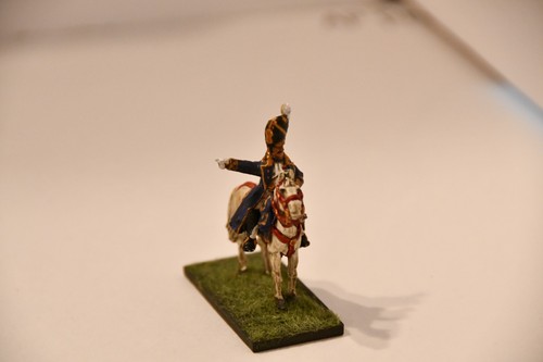 28mm Napoleonic French Old Guard Grenadier Command Group, Plastic/Metal,See Desc - Picture 13 of 24