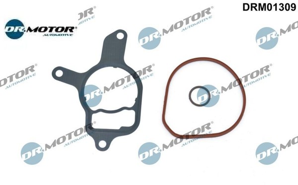 Dr.Motor Automotive DRM01309 Dichtungssatz FüR Unterdruckpumpe-image