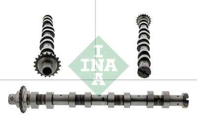 INA 428 0120 10 Camshaft for Citroen, Fiat, Ford, Mazda, Mini, Peugeot, Suzuki, Volvo