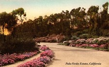 Palos Verdes Estates California Flower Bordered Drive Postcard COPY  #84533