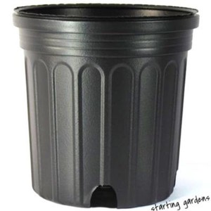 1-Gallon-Nursery-Pot-Qty-50-Black-Trade-Gallon-6-5-Inch