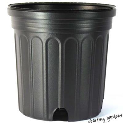 #ad #ad 1 Gallon Nursery Pot Trade Gallon Flower Pot Qty. 50 Nursery Trade Gallon $29.99