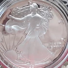 U.S. Mint 1991 American Silver Eagle $1 Proof 1 oz Silver Coin Uncertified