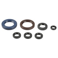 Serie Parolio Motor KTM Sx/Exc 400-520/450-525 Cc.00-06 FüR KTM 450 SX 05-06 4T