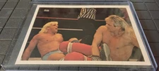 1988 Wonderama NWA - #136 Ric Flair, Ricky Morton 