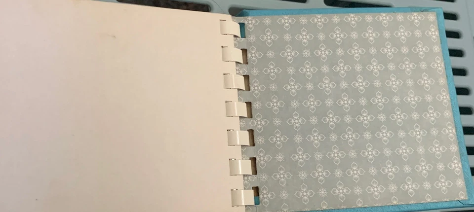 Mini álbum de fotos vintage de abuela vieja ridícula en cartera SOG con PIP Foto 4 de 4