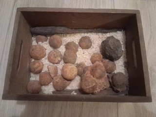 Civil War Canister Shot Balls & Some Other Period Metal.