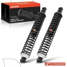 Rear Left & Right Complete Strut &Coil Spring Assembly for Dodge Dakota Durango