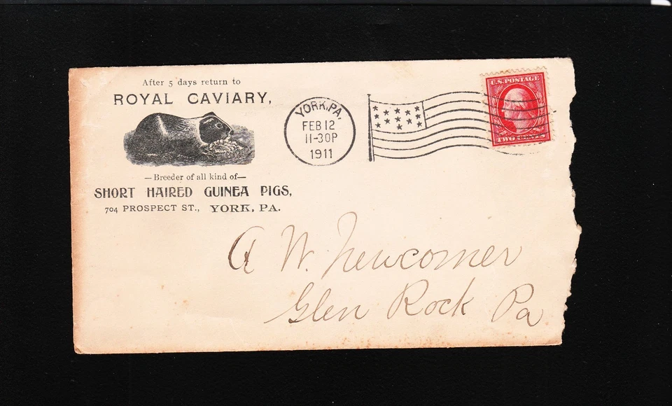 Royal Caviary Guinea Pigs Breeder York PA 1911 Flag Cancel & Letterhead 5z  - Image 2 of 4