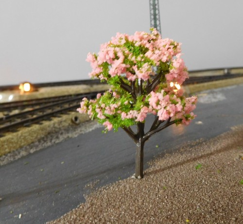 10 Pink Blooming Trees, 60 mm, Cherry Blossom, Cherry Trees - Picture 8 of 12