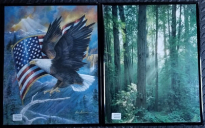 Bold Eagle USA Flag posters 16x20