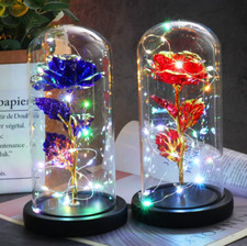 LED Rose Gifts for Women Flowers Rose in Glass Dome Birthday Christmas Gift