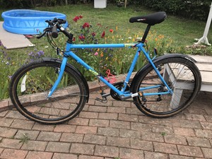raleigh montage mountain bike