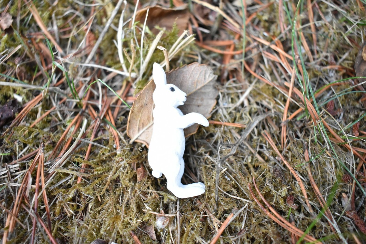 Rabbit Arctic Hare Small Plastic Replica 2