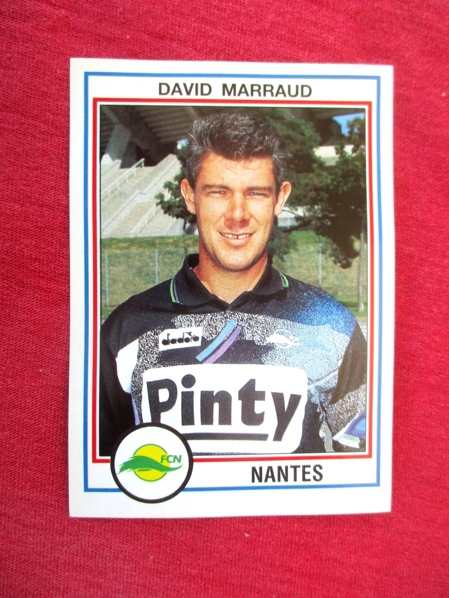 77 ALAIN FIARD LILLE PANINI FOOT 93 1993 FRANCE L1 FOOTBALL