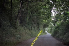 Photo A2 North Devon : Springhill Down Hill Mogworthy A small country la c2015